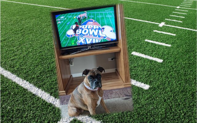 Anti-Super Bowl?  Things you can do to avoid the hype – it’s not that RUFF