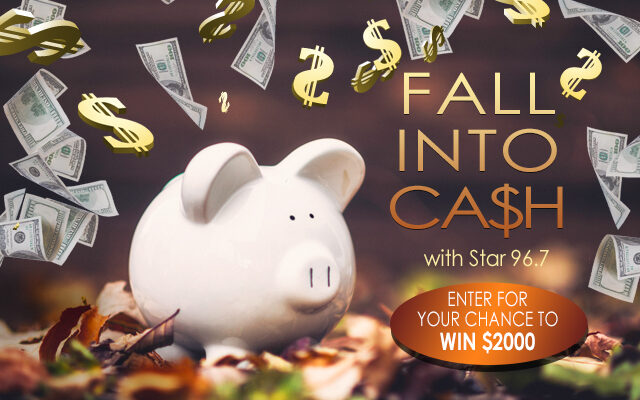 Get ready to Fall into Cash!
